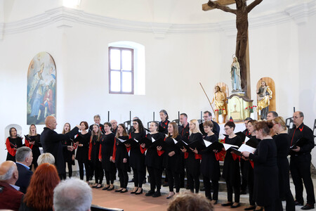 KOMORNI ZBOR FRAN GERBIČ LETNI KONCERT 15 FOTO LJUBO VUKELIČ